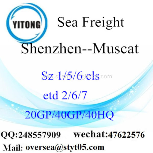 Shenzhen Port Sea Freight Shipping To Muscat